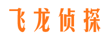 黄梅侦探